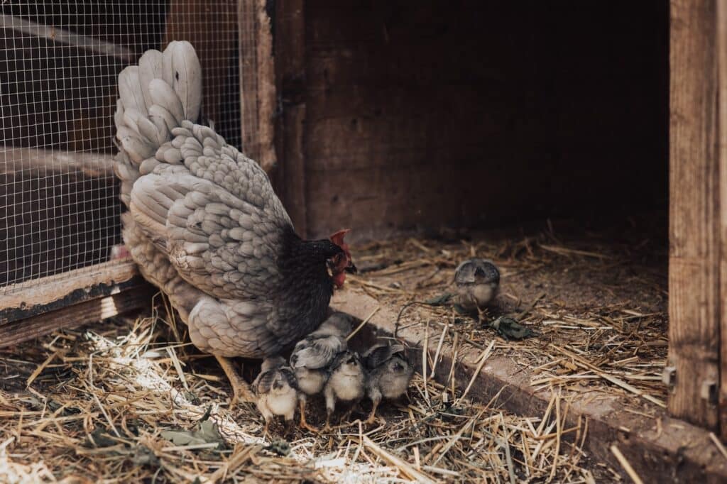 Untermathon_niedrigauflösend-040