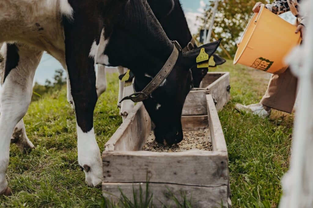 Untermathon_niedrigauflösend-099